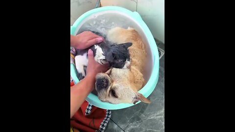 I wanted to take a bath together