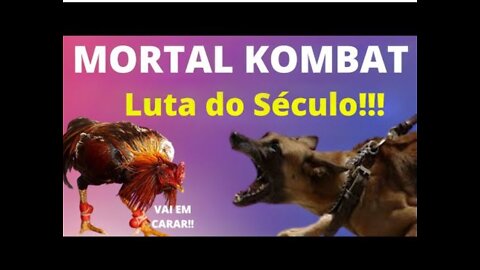 💋 UFC Galo ❌ Cão!!! Muita loucura mesmo!!! Kkkkkķ