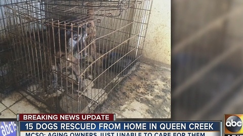 Two people likely to face charges after 15 dogs were rescued from their Ahwatukee home by MCSO