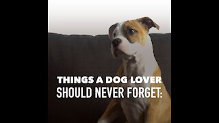 Dog Lovers Should Never Forget [GMG Originals]