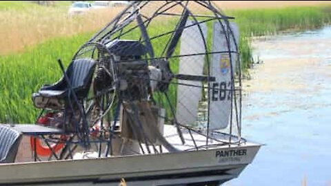 Airboat's prop used to blow leaves