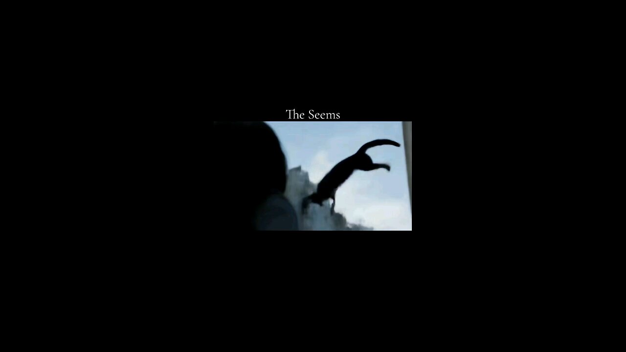 The Seems: Episode 1