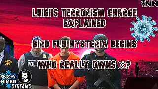 Luigi's Terrorism Charge EXPLAINED | Bird Flu HYSTERIA Begins | Snow Himbo Streams