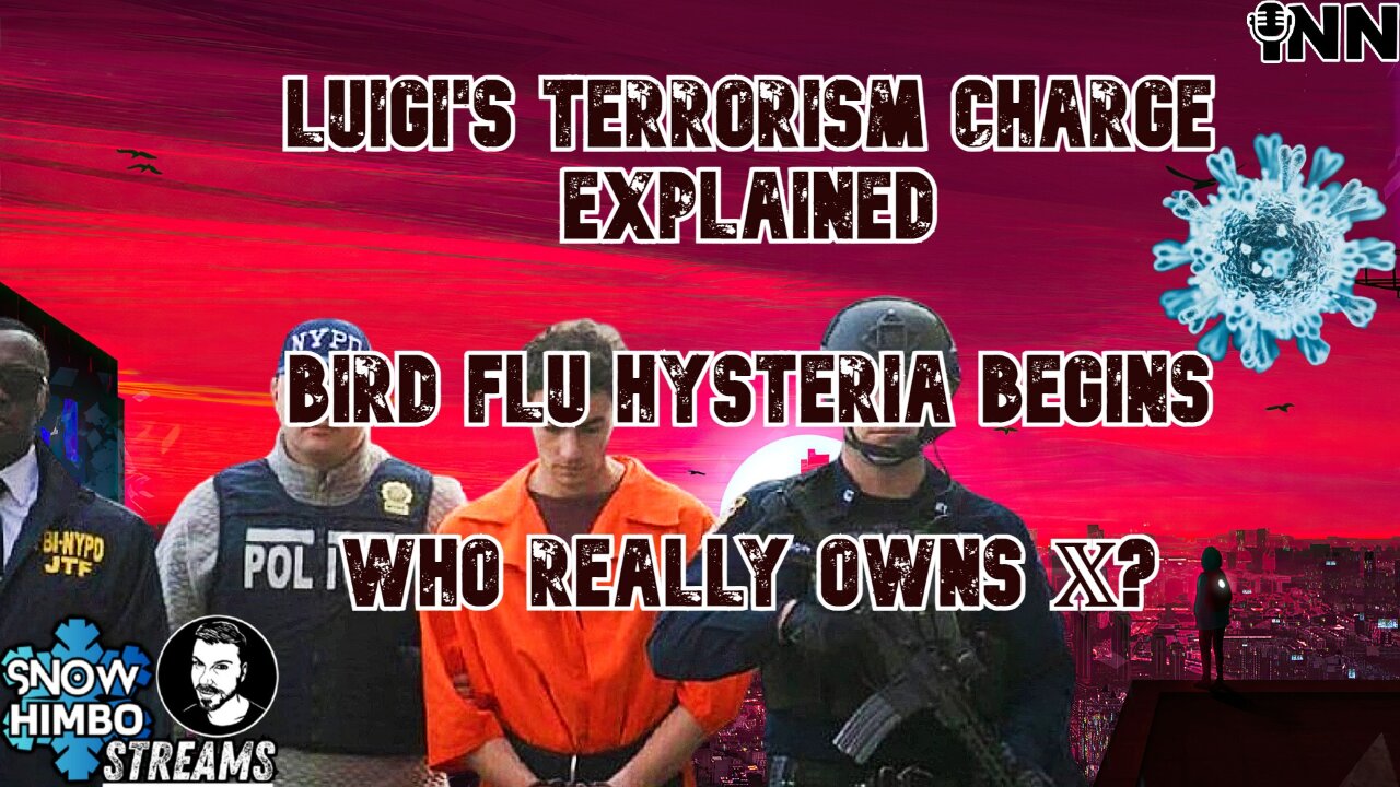 Luigi's Terrorism Charge EXPLAINED | Bird Flu HYSTERIA Begins | Snow Himbo Streams