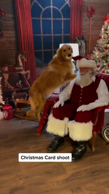 How do you think they’re going to turn out