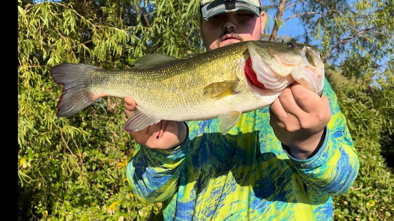 Fat Bass Love Gold Blade Baits!