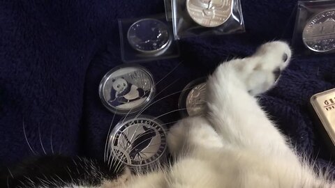 I'm A New Stacker! What Silver Should I Buy?