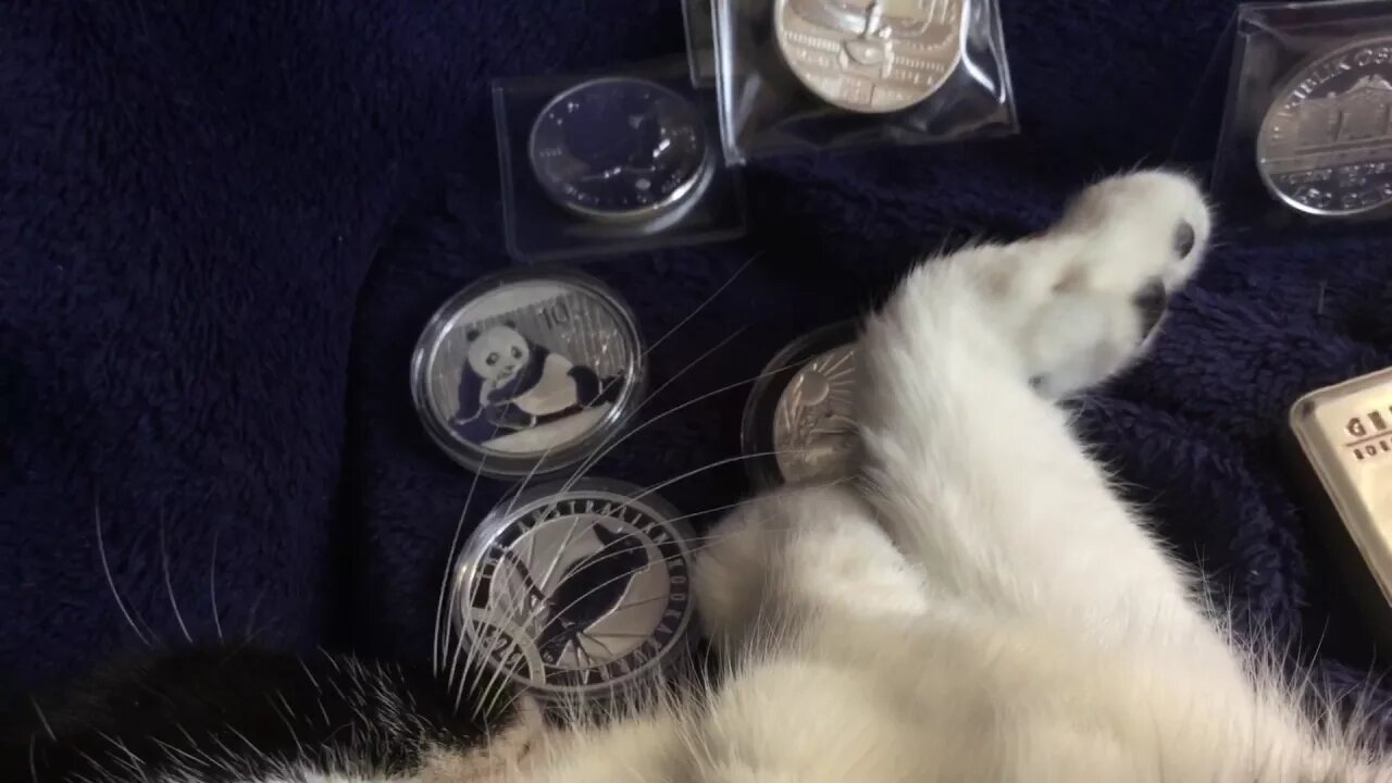 I'm A New Stacker! What Silver Should I Buy?