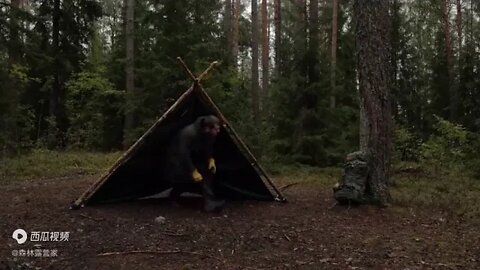 Camping @ in @ the @ wilderness @ at @ @ 20 @ degrees @ below @ zero, @ see @ how @ the @ Norwegia