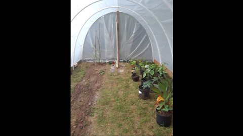 Greenhouse for Less Than $200