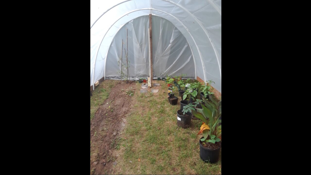 Greenhouse for Less Than $200