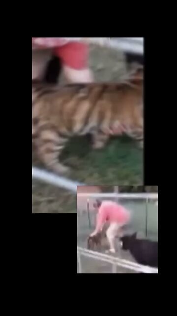 James Garretson of Tiger King throws baby tigers