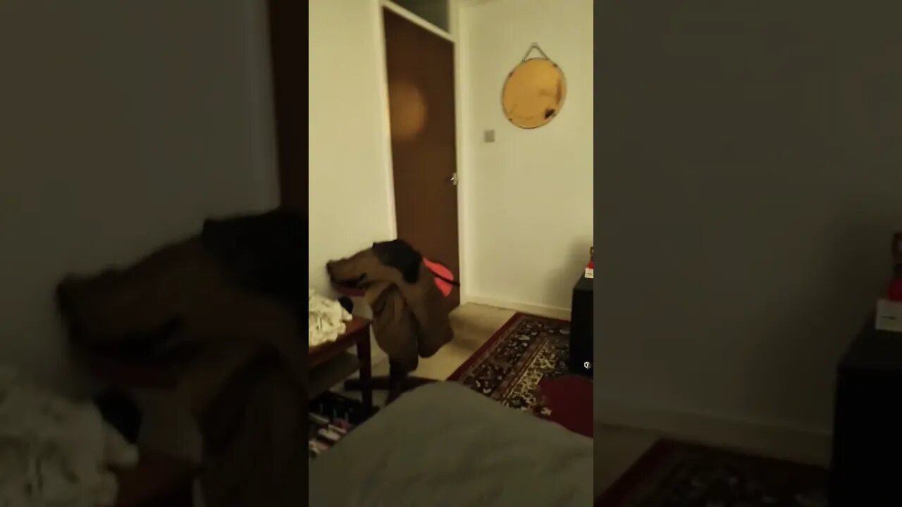 be waking ⏰️ up soon 🙄 but back to bed for now 😴 enjoy the video and like and subscribe 😉