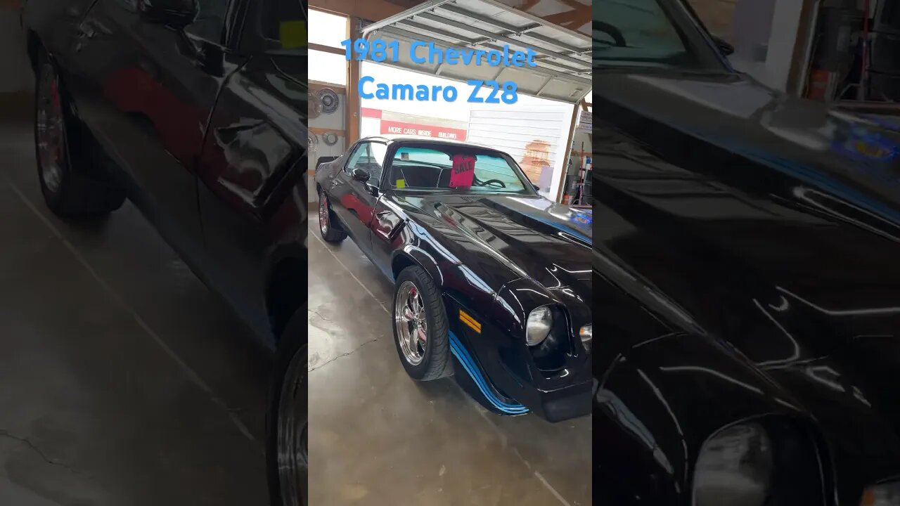 #camaro -#camaroz28 #chevrolet #chevroletcamaro #classiccars #classicchevy #classiccarsforsale