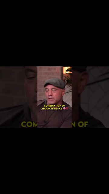 Joe Rogan : Elon Musk dunking on billionaires! 😂💯