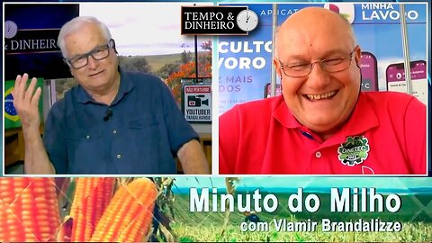Milho mantendo oportunidades no Brasil