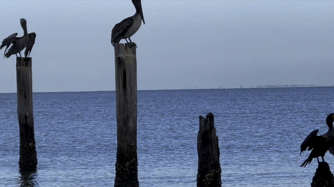 Old Pirate Pier FMB- 4K