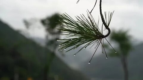 Camping + alone + in + the + car + on + the + day + of + the typhoon