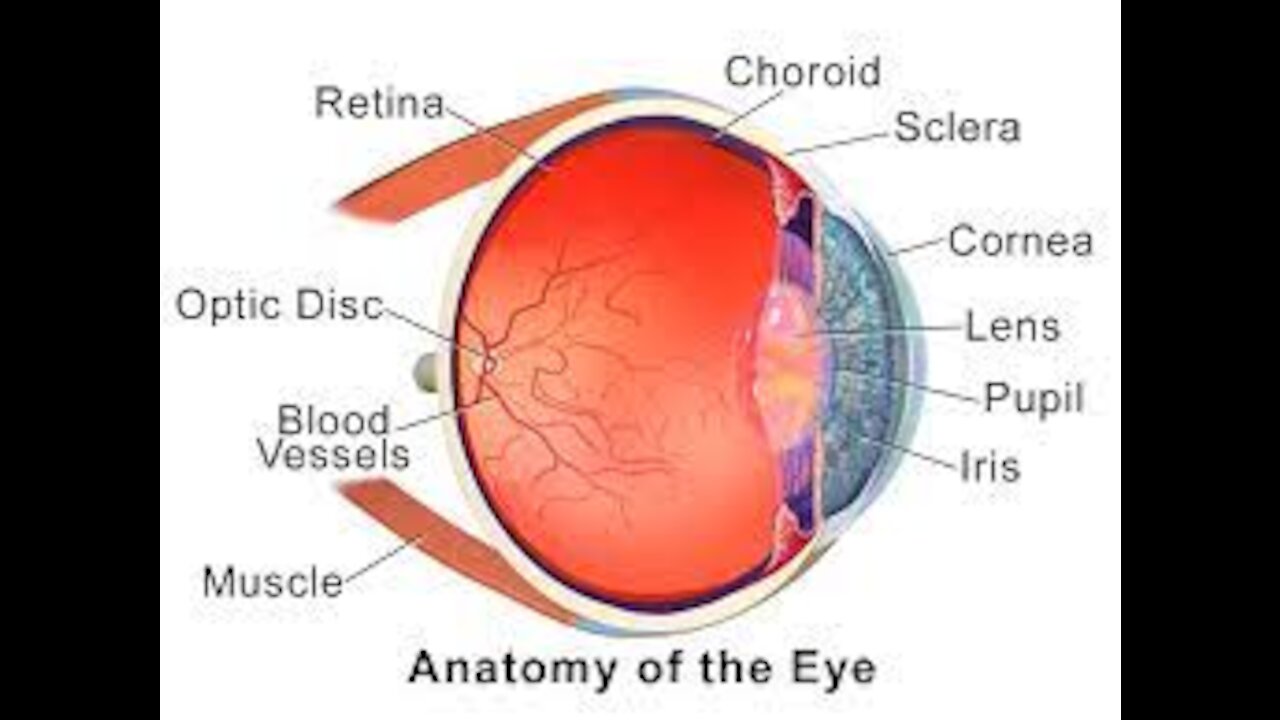 cataract procedures surgery