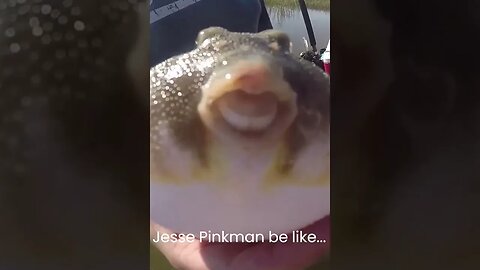Jesse Pinkman be like... #breakingbad #jessepinkman #funnyanimals #moviequotes