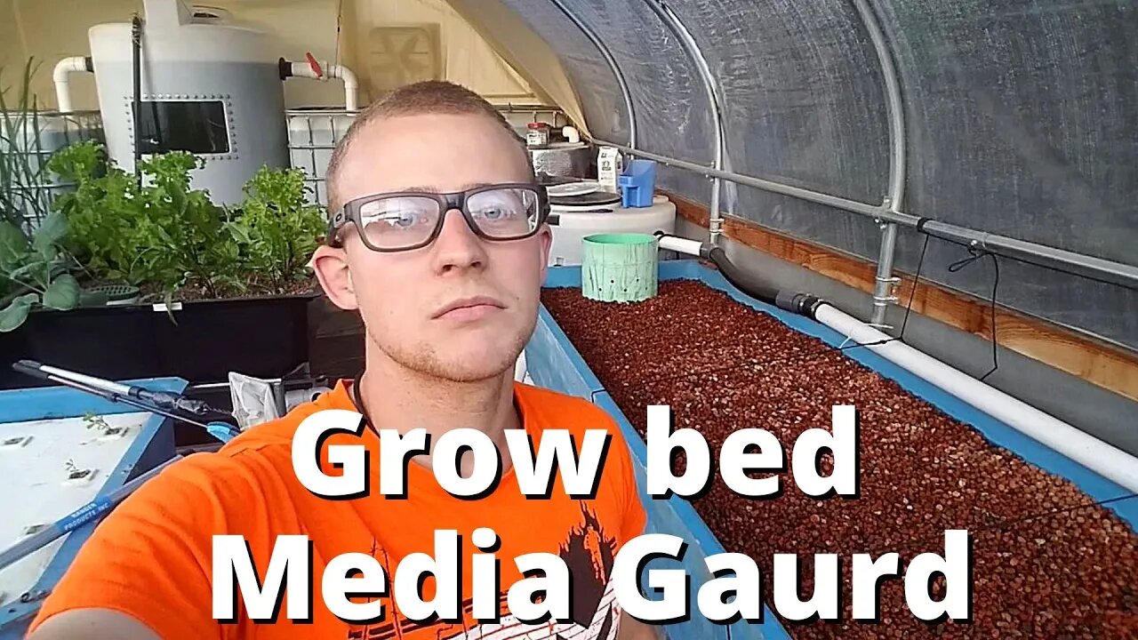 DIY aquaponic media guard (extra large media guard for aquaponic grow bed)