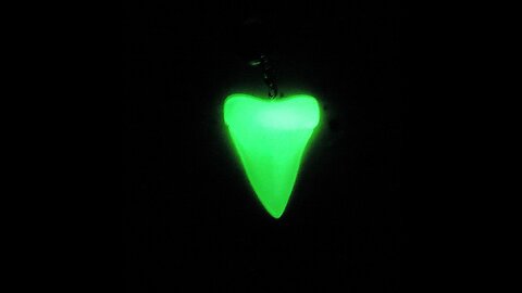 Megalodon Shark Tooth Glow in the Dark Replica