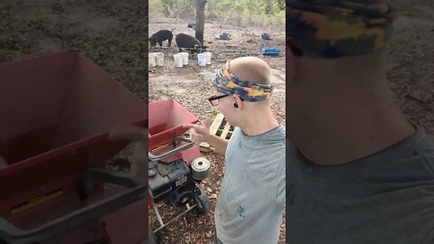 added a wood chipper to the farm!