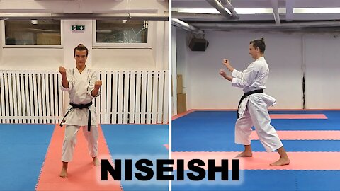 Niseishi