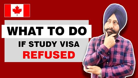 Student Visa refused -- what to do