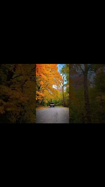 Fall time in Upstate NY 🍂 #shorts #vanlife #rvlife #campervan #offgridliving #overlanding