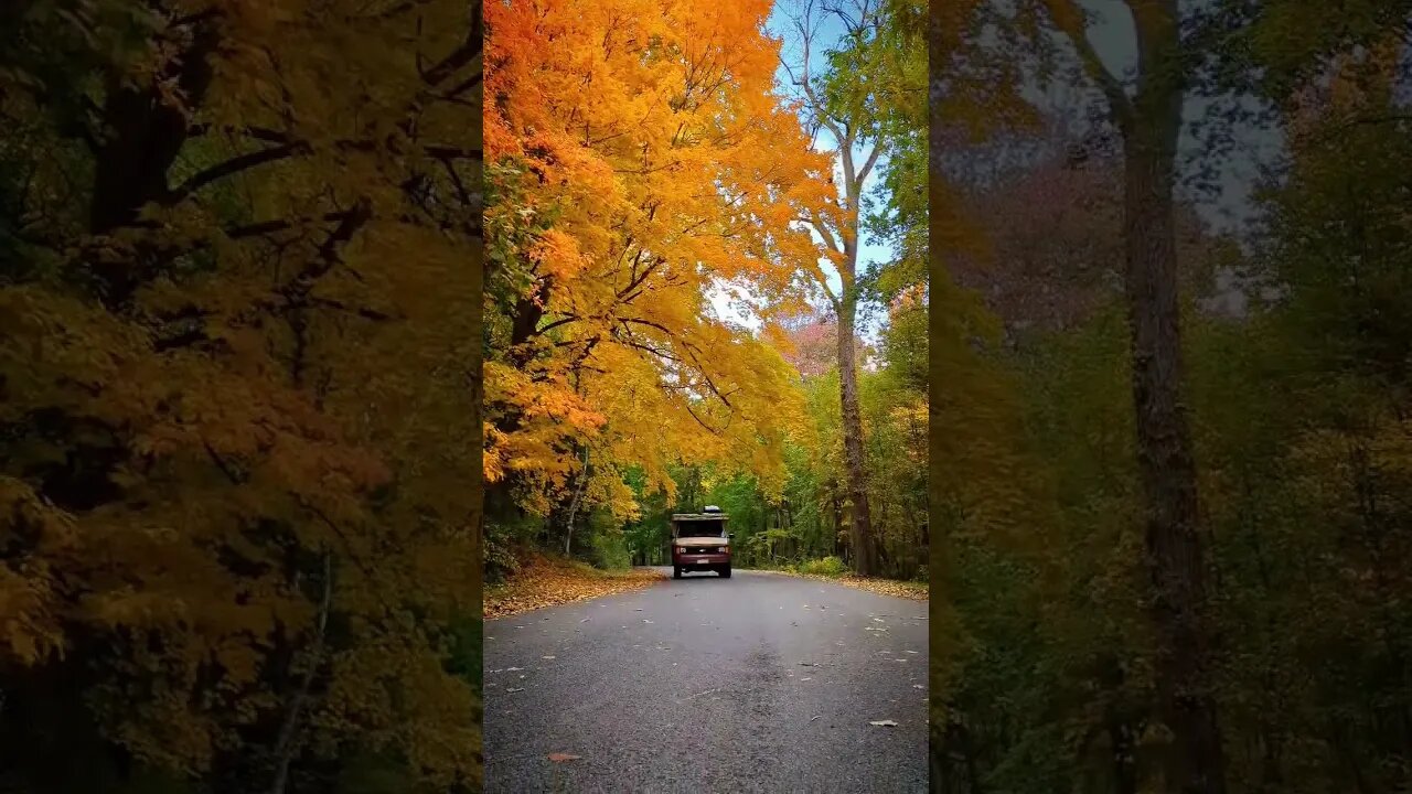 Fall time in Upstate NY 🍂 #shorts #vanlife #rvlife #campervan #offgridliving #overlanding