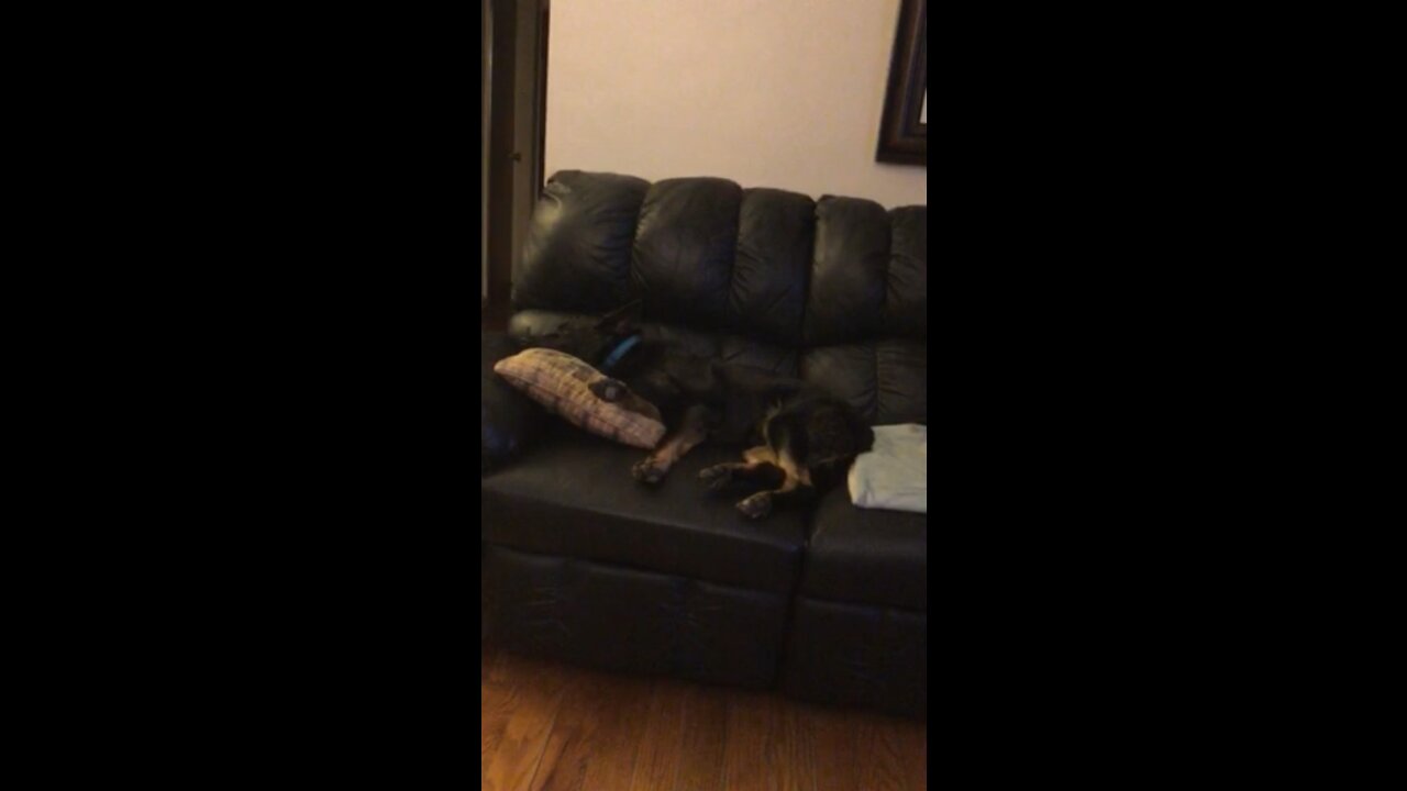 Lazy day