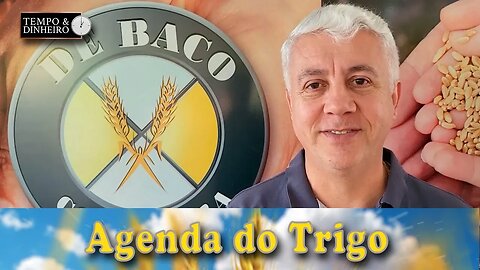 É o momento de ouro, para os compradores mundiais de trigo.