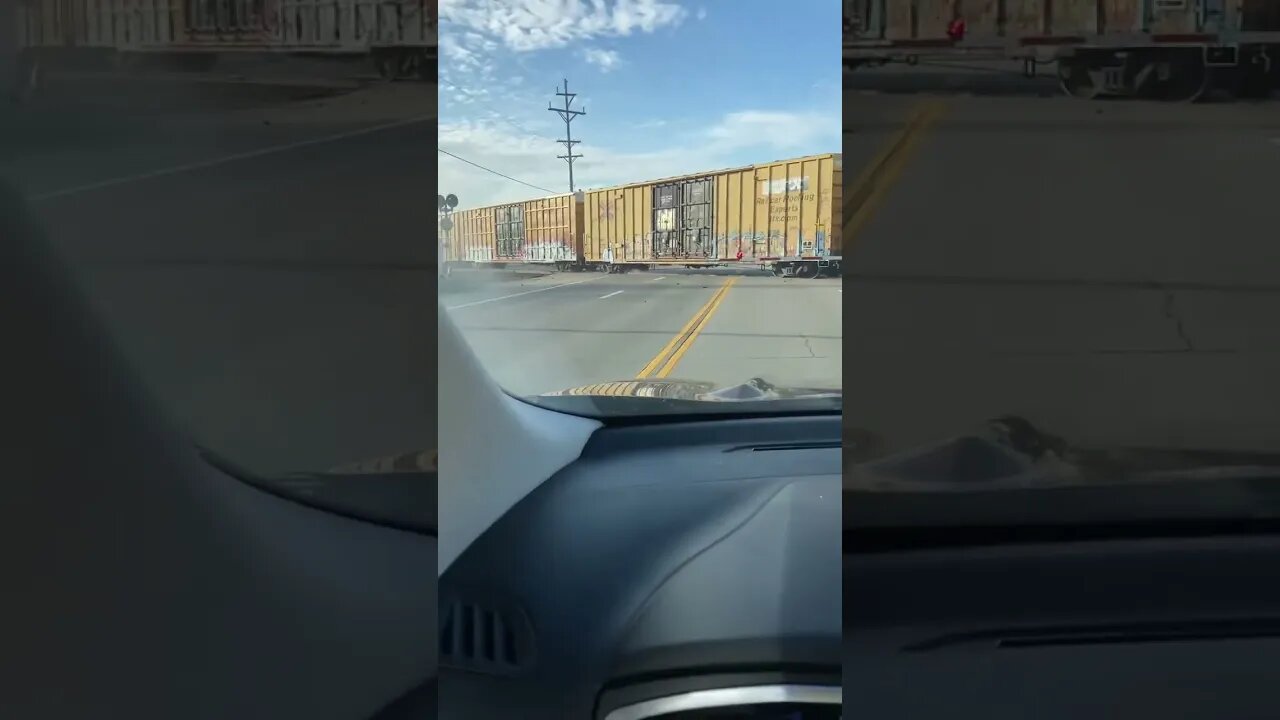 28 Cars of a Norfolk Southern Train Derail in Ohio #viral