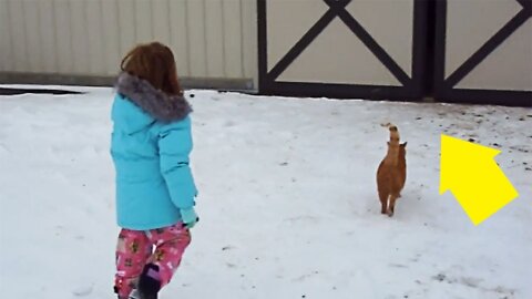 This Little Girl Followed Her Cat Into A Barn And Found The Huge Secret Her Parents Had Been Hiding.