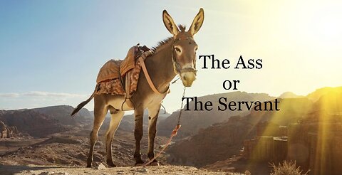 The Ass or The Servant