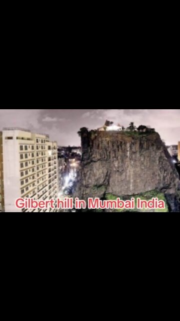 The Remains of the Ancient Forests That Covered This World - OldWorld - MudFlood