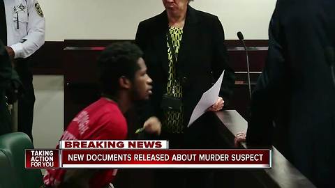 Seminole Heights Killer Case: Judge releases 1,700 pages of evidence