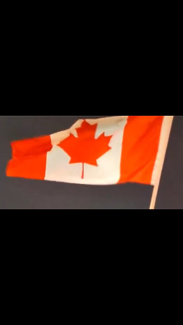 Love to Germany from Canada! Honk Honk!