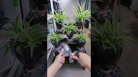 Recycling Empty Bottles