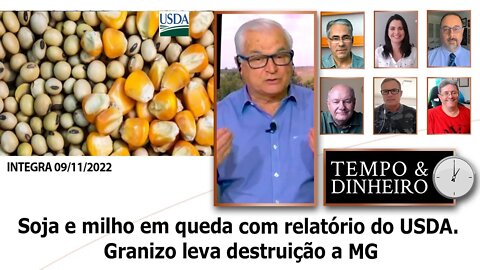 Soja e milho em queda com relatório do USDA. Granizo leva destruição a MG