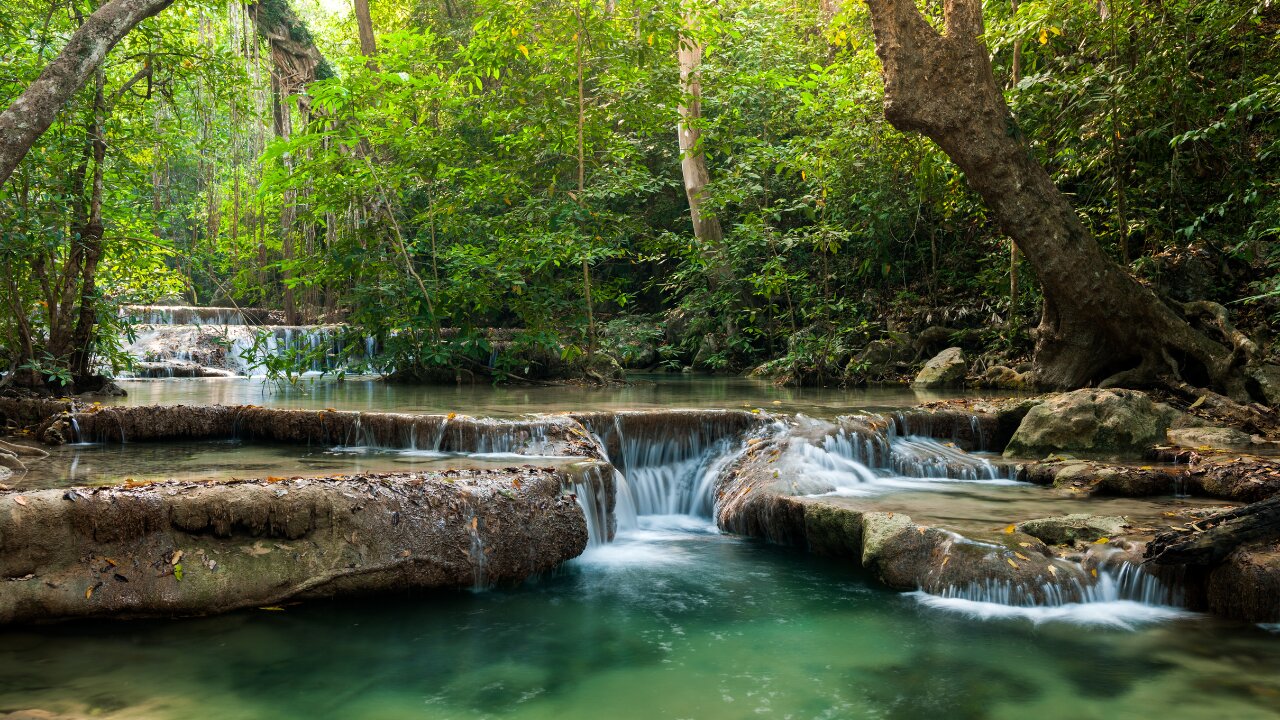 Exploring Earth's Diverse Biomes: A Journey Through Nature's Marvels