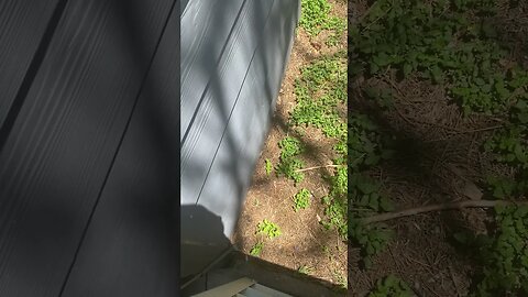 Insurance guy stopped by.