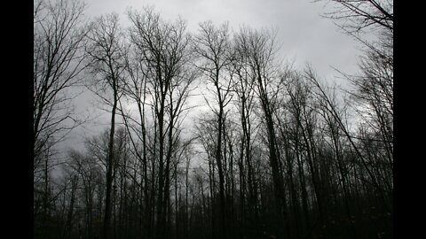 The Wind Storm!!