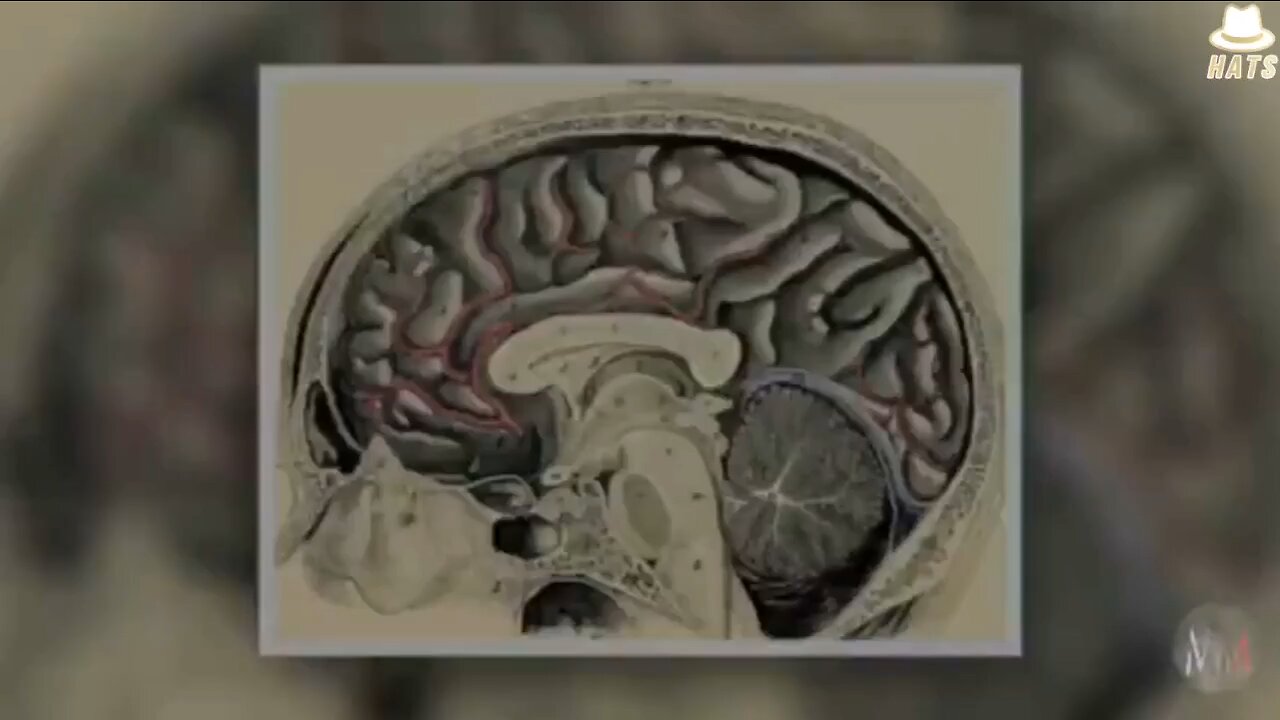 Truly amazing and very important method to increase your ability to reach maximum mentality