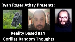 Reality Based #14 Gorillas Random Thoughts