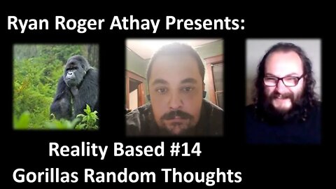 Reality Based #14 Gorillas Random Thoughts