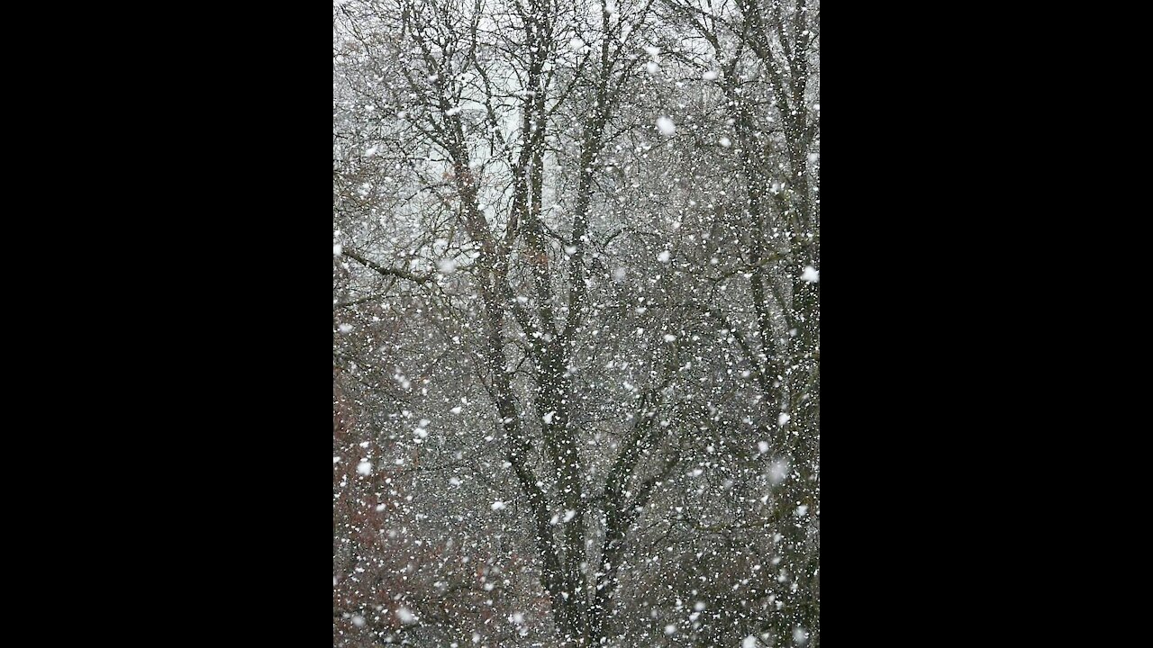 A view of snowfall and a slow display❄❄