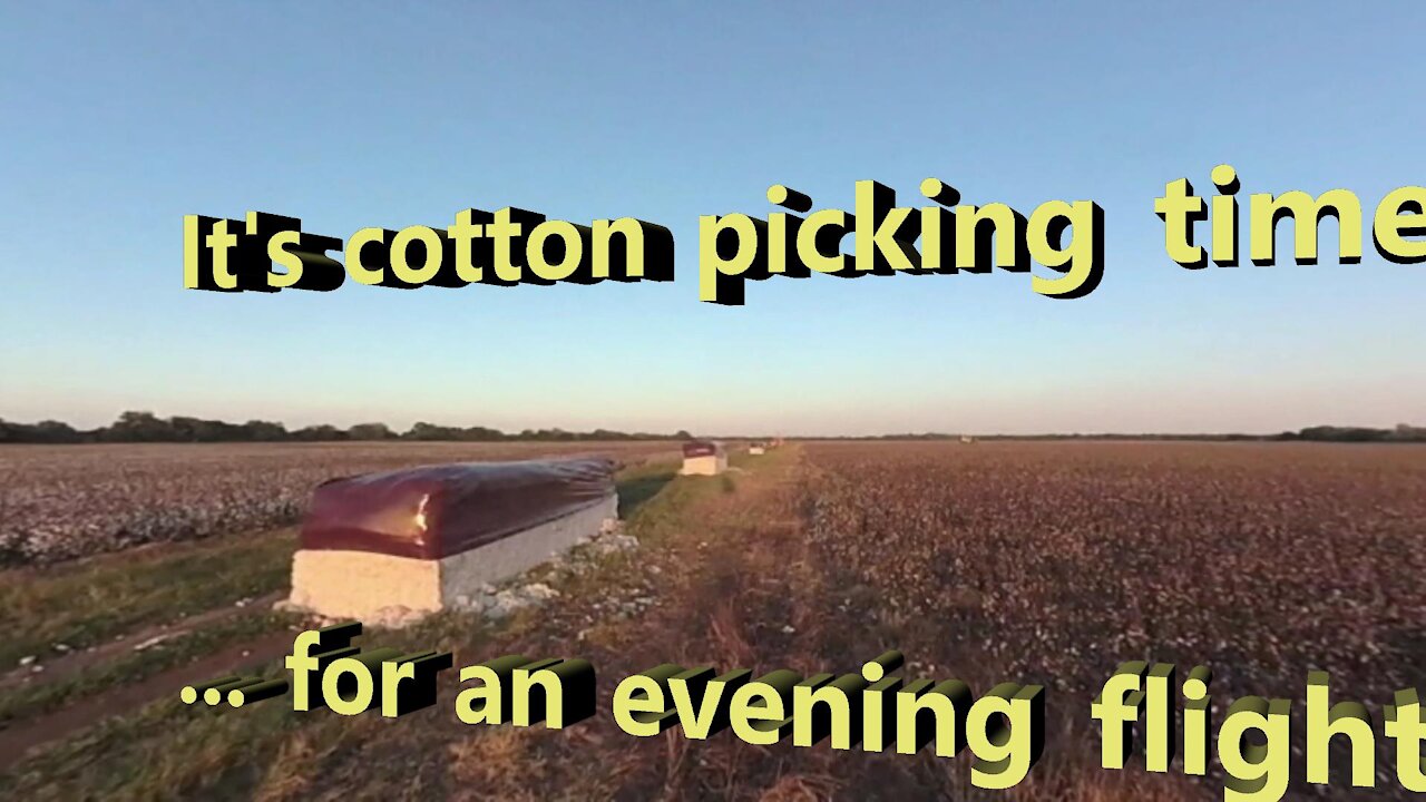 Cotton Picking Time for a Paramotor Flight