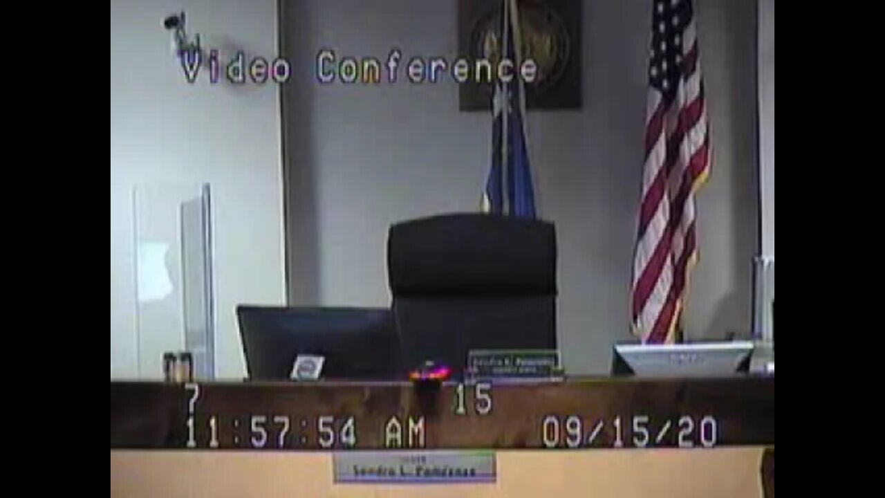Lavin matter before Clark County Family Court Judge Sandra Pomrenze 9.15.20